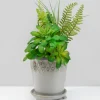 6in Tall Veracruz Aztec Ceramic Pot with Saucer