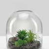 7.75in Tall Victoria Glass Terrarium, Small