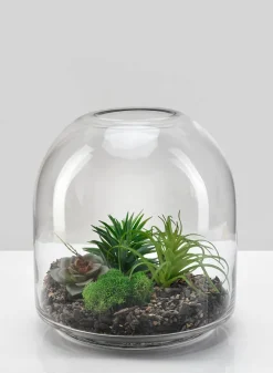 7.75in Tall Victoria Glass Terrarium, Small