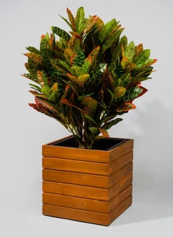 12in Tall Vuong Acacia Wood Planter