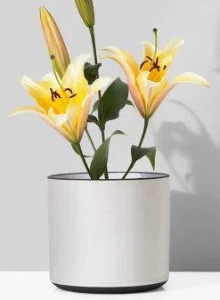 7.25in Tall White Linen Ceramic Cylinder Vase
