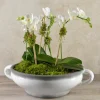 14in Tall White Phalaenopsis Orchid in Driftwood Planter