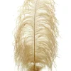 18 - 20in Tan Ostrich Feather