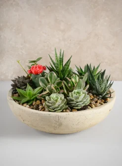 12in Wide Amadora Sand Tone Centerpiece Stoneware Bowl
