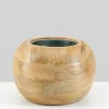 8in Wide Amazonas Fish Wood Bowl With Metal Insert