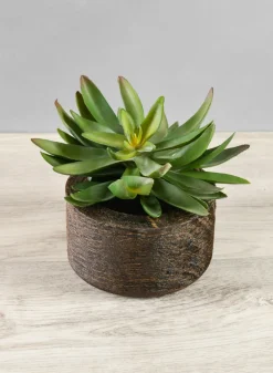 4.5in Wide Banjara Reclaimed Look Black Rugged Wood Bowl
