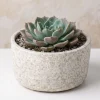 7.5in Wide Boheme Antiqued Low Ceramic Cylinder Pot, Case of 6