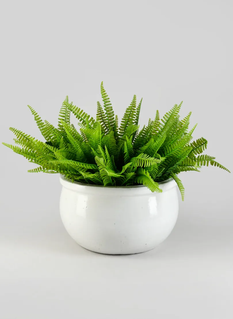 13in Wide Bright White Bavarian Pot