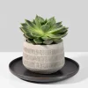 8.5in Wide Bronze Ceramic Plate