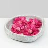 10.5in Wide Byzantine Aged White Shallow Ceramic Bowl