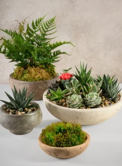 6.5in Wide Cintra Aged Black Clay Look Terracotta Bowl