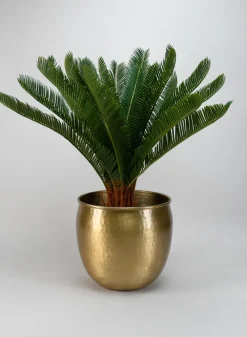 10.75in Wide Devdas Brass Look Aluminum Indoor Garden Pot, Large