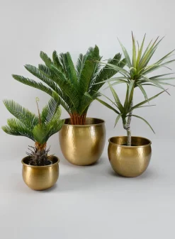 10.75in Wide Devdas Brass Look Aluminum Indoor Garden Pot, Large