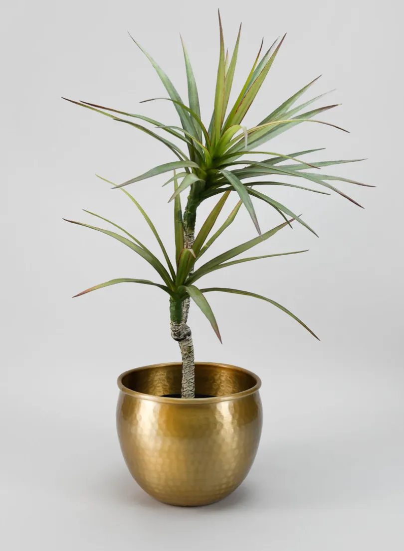 9in Wide Devdas Brass Look Aluminum Indoor Garden Pot, Medium