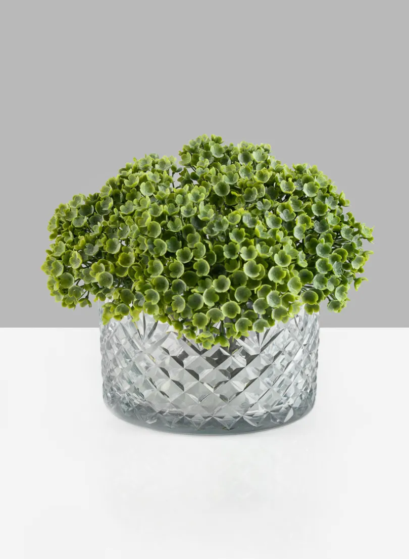 5.75in Wide Diamond Cut Glass Bowl