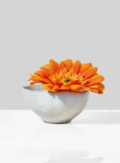 4in Wide Freeform Edge Ceramic Potter's Bowl, Set of 4