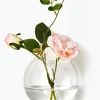 5in Wide Glass Ball Wall Vase