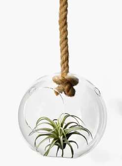 8.5in Wide Glass Sphere On A Rope