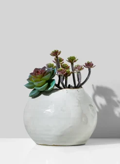 5in Wide Glazed Ceramic Potter's Bowl