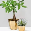 6.5in Wide Gold Elegance Cachepot