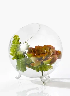 6in Wide Greenhouse Glass Bowl