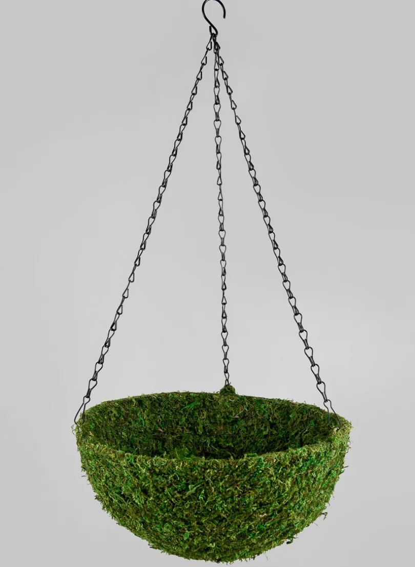 12in Wide Green Moss Basket