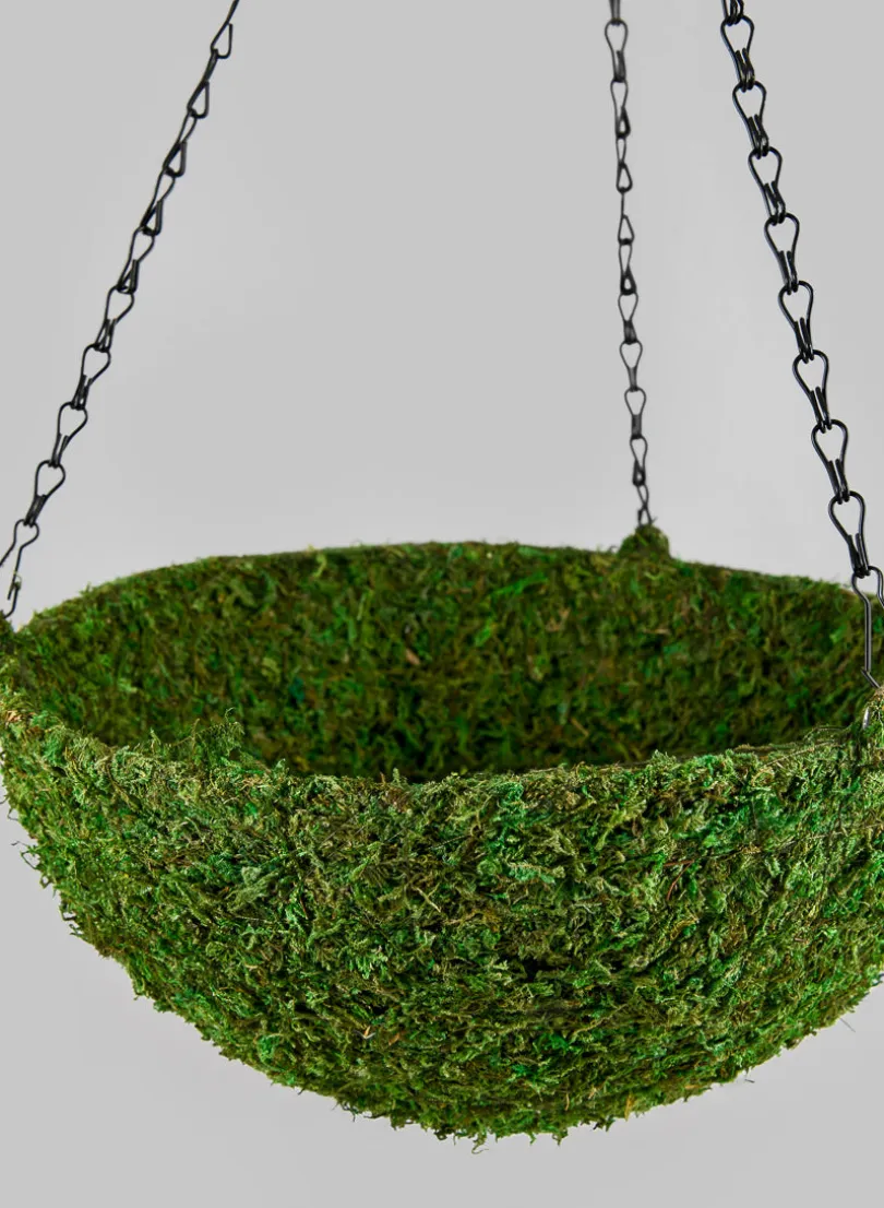 12in Wide Green Moss Basket