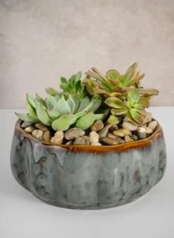 6.5in Wide Grey Glazed Leif Ceramic Bowl