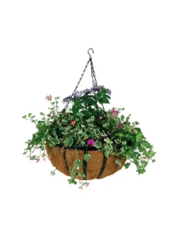 12in Wide Hanging Basket with Coco Liner