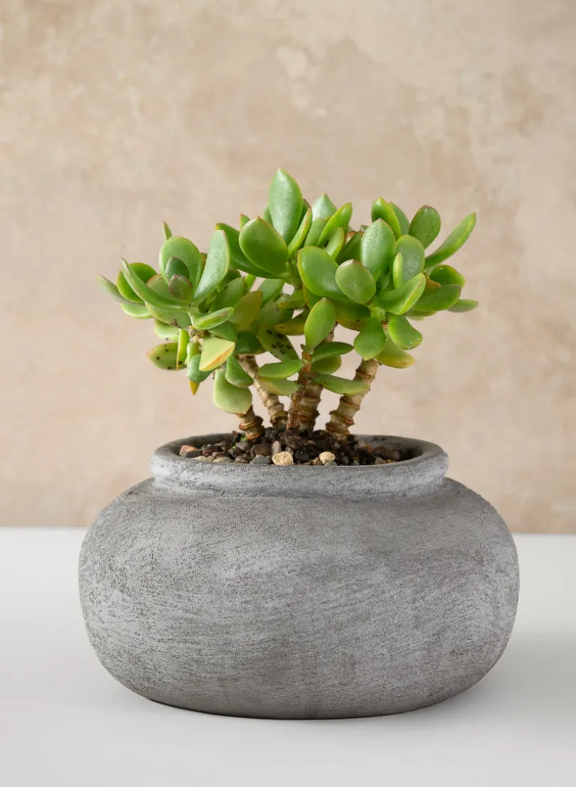 8in Wide Iquitos Venetian Grey Ceramic Bowl