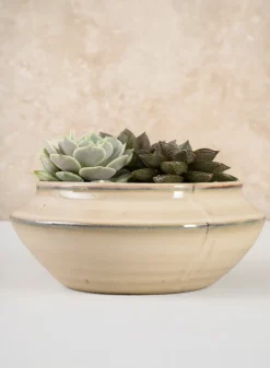5.5in Wide Ivory Glaze Ceramic Ikebana Bowl