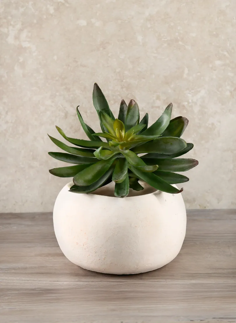 6in Wide Kasbah Natural Earth Tone Cement Bowl