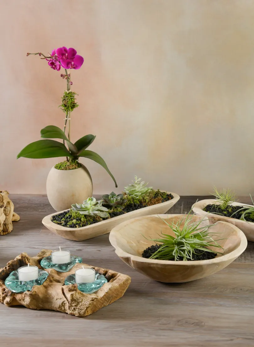 12in Wide Makassar Teak Dish Wood Bowl
