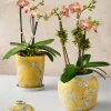 4in Wide Ming Safron Bud Ceramic Vase, Set of 2