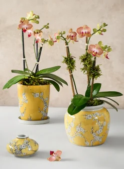 4in Wide Ming Safron Bud Ceramic Vase, Set of 2