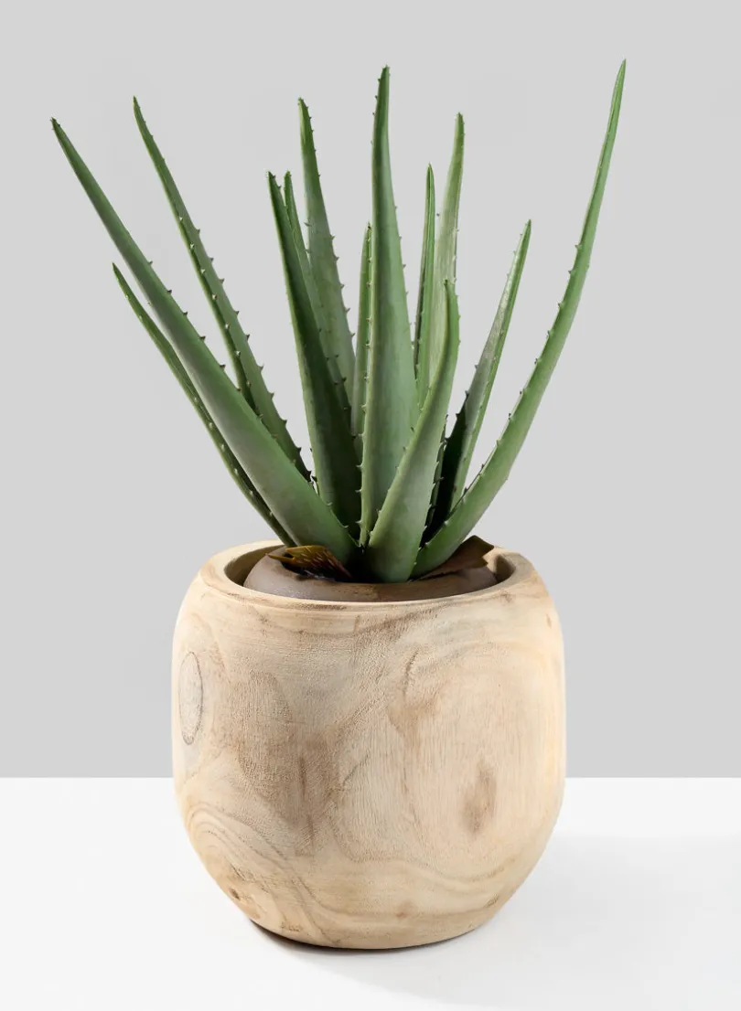 8in Wide Paulownia Wood Fishbowl Vase