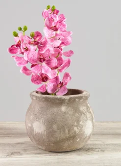 6in Wide Petra Aged Clay Bowl Planter