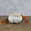 6in Wide Porcelain White Wash Pumpkins
