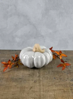 6in Wide Porcelain White Wash Pumpkins