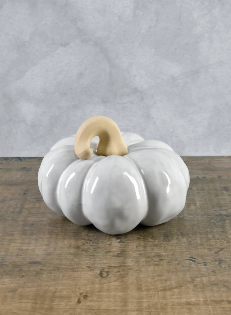 6in Wide Porcelain White Wash Pumpkins