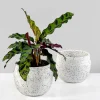 4in Wide White Granite Goki Bowl, Set of 2