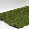 18in x 48in Preserved Moss Mat