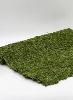 18in x 48in Preserved Moss Mat