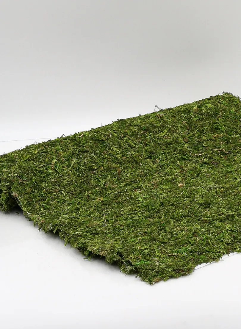 18in x 48in Preserved Moss Mat