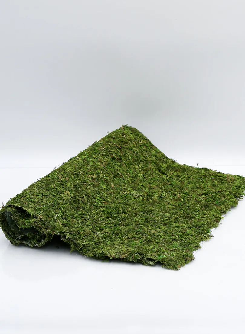 18in x 48in Preserved Moss Mat