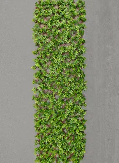 40in x 80in UV-Resistant Boxwood Accordion Expanding Trellis (Indoor/Outdoor)