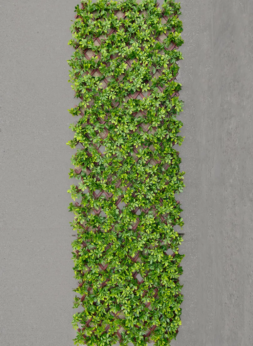 40in x 80in UV-Resistant Boxwood Accordion Expanding Trellis (Indoor/Outdoor)