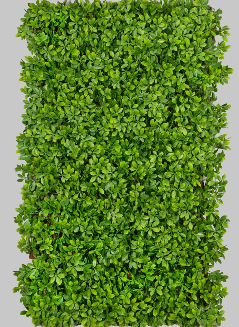 40in x 80in UV-Resistant Boxwood Accordion Expanding Trellis (Indoor/Outdoor)
