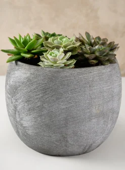 Iquitos Venetian Grey Ceramic Pot