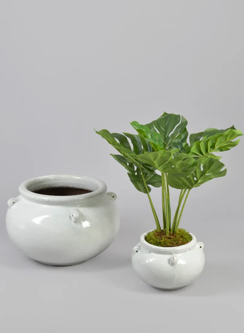 Jakarta Bowl Clay & Ceramic Planters, Cloud White